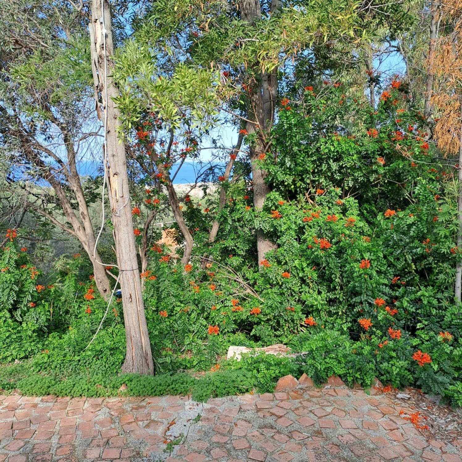 Villa Gatto Rometta Marea Luaran gambar